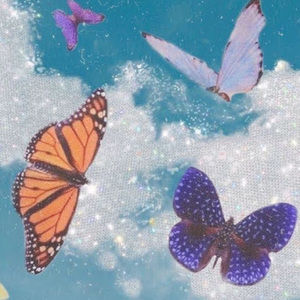 Meet your Posher, Mariana